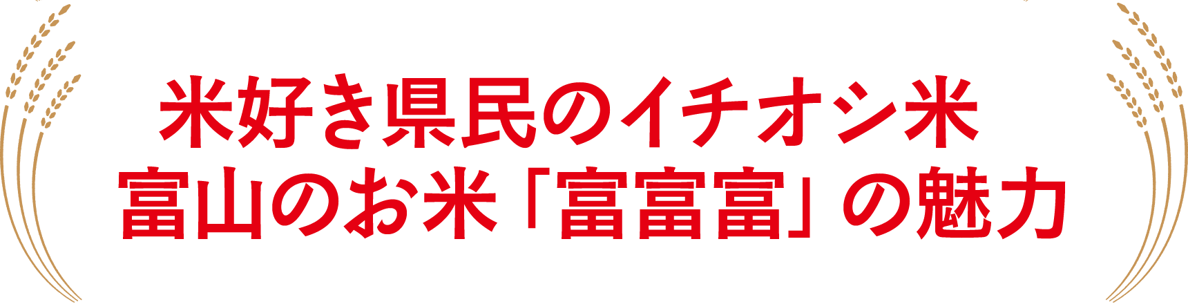 米好き県民のイチオシ米富山のお米「富富富」の魅力