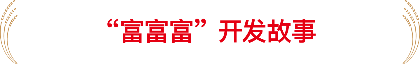 “富富富”开发故事