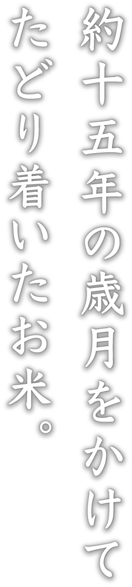 約十五年の歳月をかけてたどり着いたお米。